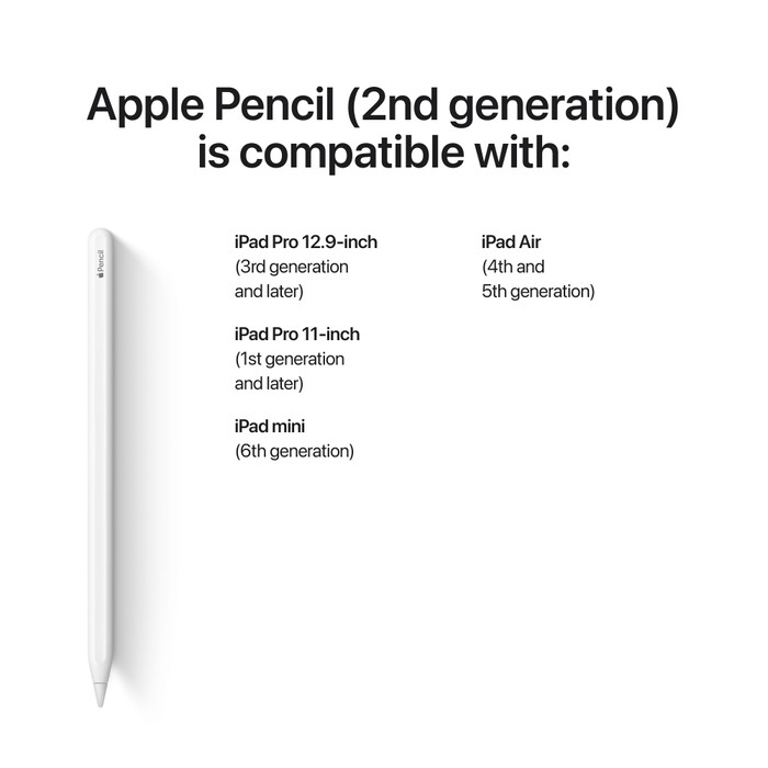 Apple Pencil (2nd generation) visual supplier