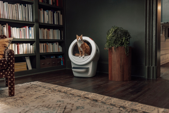 Whisker Litter-Robot 4 Schwarz produkt in gebrauch