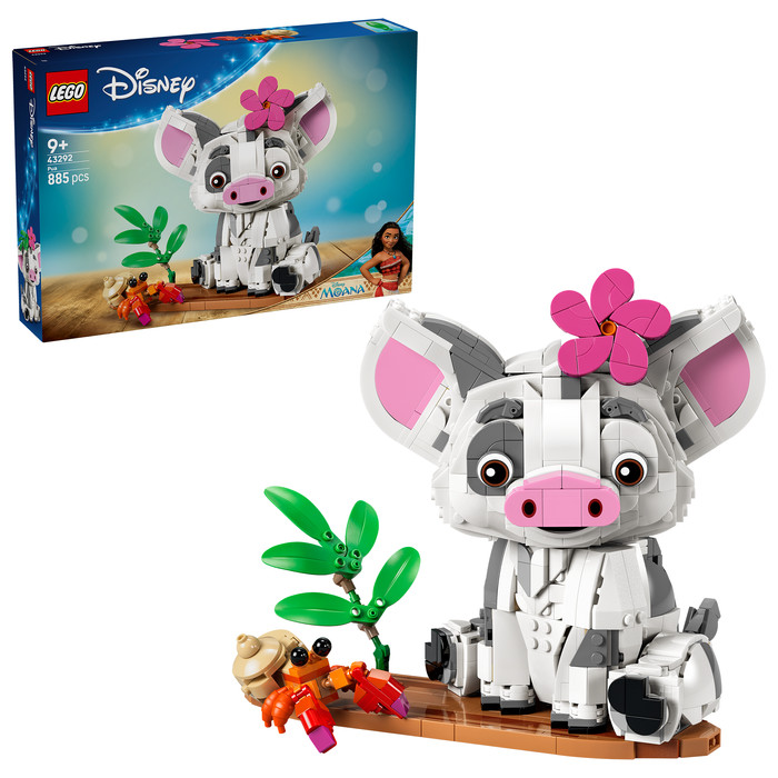 LEGO Disney Pua 43292 rechte seite