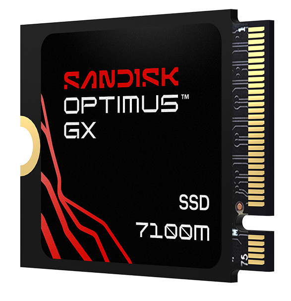 SANDISK Optimus GX 7100M 1TB NVMe-SSD vorne