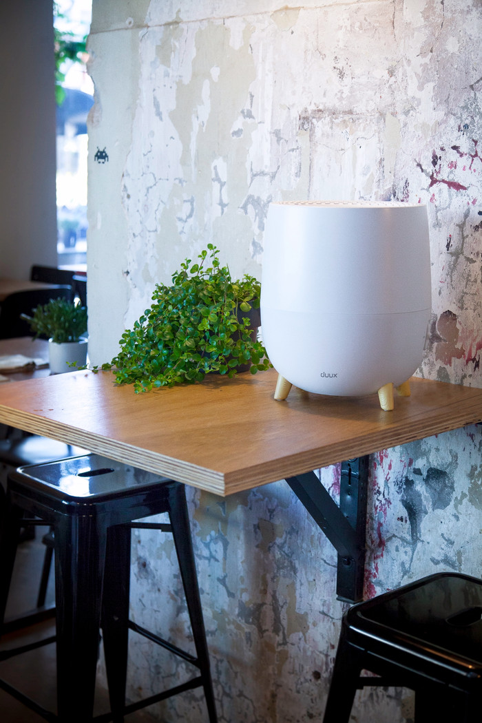 Duux Ovi product in use