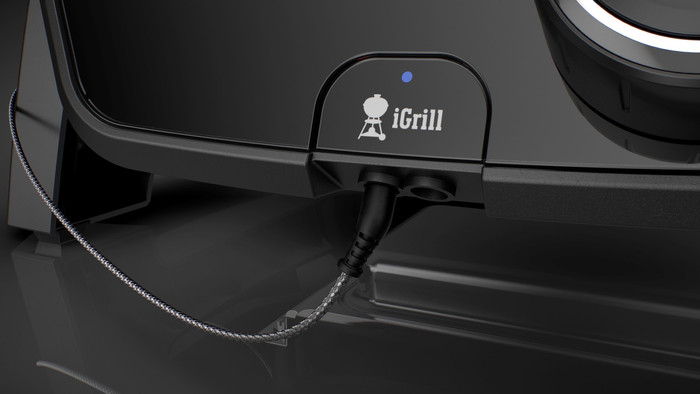 Weber Pulse 1000 null