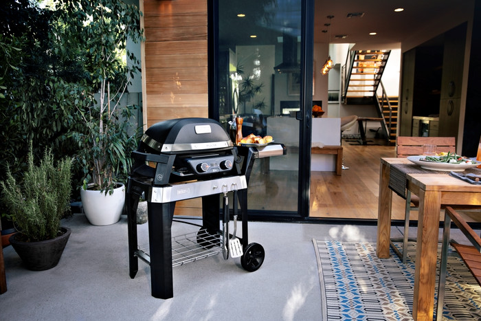 Weber Pulse 2000 with Underframe null