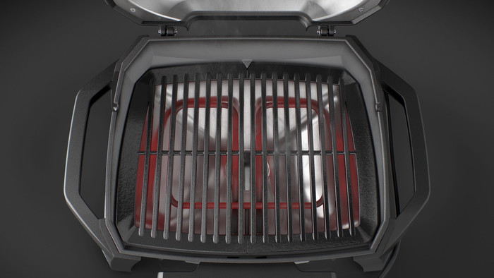 Weber Pulse 1000 null