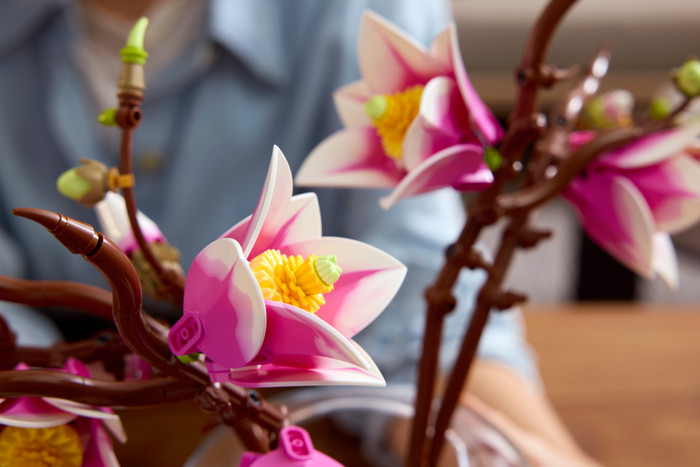 LEGO Botanicals Magnolienzweige 11510 produkt in gebrauch