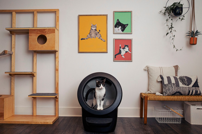 Whisker Litter-Robot 4 Schwarz produkt in gebrauch