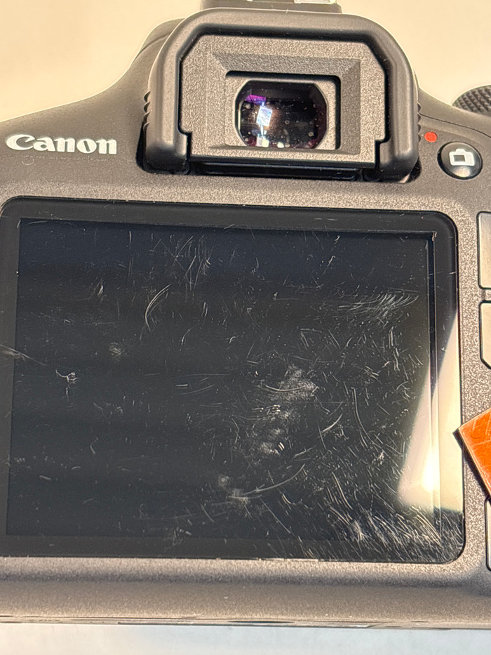 Canon EOS 2000D + 18-55mm f/3.5-5.6 DC III + Tasche + 16 GB Speicherkarte 