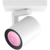 Philips Hue Argenta Mounted Spot Light White and Color - White - 1-spot