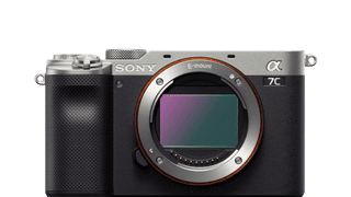 Mirrorless cameras