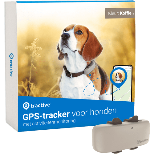 Ikati best sale cat tracker