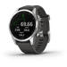 Garmin Fenix 7S Silver/Gray 42mm