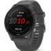 Garmin Forerunner 255 Dunkelgrau