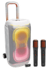 JBL Partybox 330 White + JBL Easysing Mics