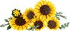 LEGO Botanicals Sonnenblumen 11502