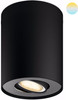 Philips Hue Pillar oberflächenmontierter Spot White Ambiance 1er-Spot Schwarz + Dimmer