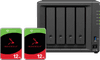 Synology DS925+ + Seagate Ironwolf 12 TB Doppelpack