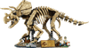 LEGO Jurassic World Dinosaur Fossils Triceratops 77985