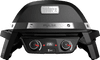 Weber Pulse 2000