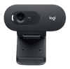 Logitech C505 HD Webcam