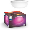 Philips Hue Flourish Ceiling Lamp White & Color White