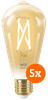 Wiz Smart Filament Light Edison 5-pack - Warm to Cool White Light - E27