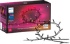 Philips Hue Festavia Lichterkette - 20 Meter - 250 LEDs