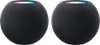 Apple HomePod mini Schwarz Doppelpack