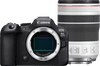 Canon EOS R6 Mark II + RF 70-200mm f/4 L IS USM