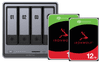 UGREEN NASync DXP4800 Plus + Seagate IronWolf 12TB Duo Pack