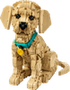 LEGO Icons Golden Retriever Welpe 11384