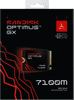 SANDISK Optimus GX 7100M 1TB NVMe-SSD