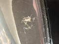 Grill Guru Original Compact (Image 1 of 6)