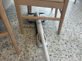 Rowenta X-Clean 12 GZ7267 (Bild 5 von 5)