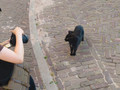 Canon EOS R6 V (Bild 6 von 6)