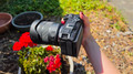 Canon EOS R6 V (Bild 2 von 6)