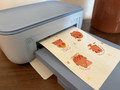 Cricut StickerPix Print Essential Set (Bild 4 von 5)
