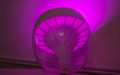 Philips Hue Iris Clear Einzelpackung (Bild 2 von 4)
