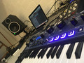 Novation Mininova (Image 1 of 3)