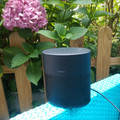 Bose Home Speaker 300 Black (Image 4 of 4)