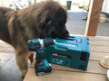 Makita DDF484ZJ (ohne Akku) (Bild 2 von 2)