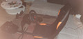 Qware Race Seat - orange (Image 3 of 3)