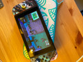 Nintendo Switch Case - Animal Crossing New Horizons Edition (Image 1 of 1)