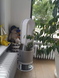 Dyson Pure Humidify + Cool - PH01 (Bild 4 von 5)