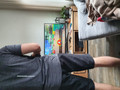 Ring Fit Adventure + Ring-Con Nintendo Switch (Bild 1 von 1)