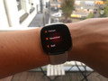 Fitbit Sense Lunar White/Soft Gold (Image 4 of 5)