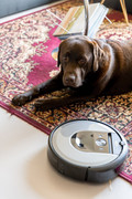 iRobot Roomba i7+ (Bild 2 von 24)