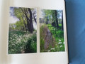 HP Everyday Glossy Photo Paper 100 sheets (A4) (Image 1 of 1)