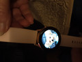 Samsung Galaxy Watch Active Schwarz (Bild 1 von 43)