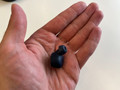 Jabra Elite 8 Active Blue (Image 2 of 3)