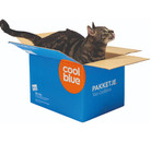 Recruiter Yanik Hüser